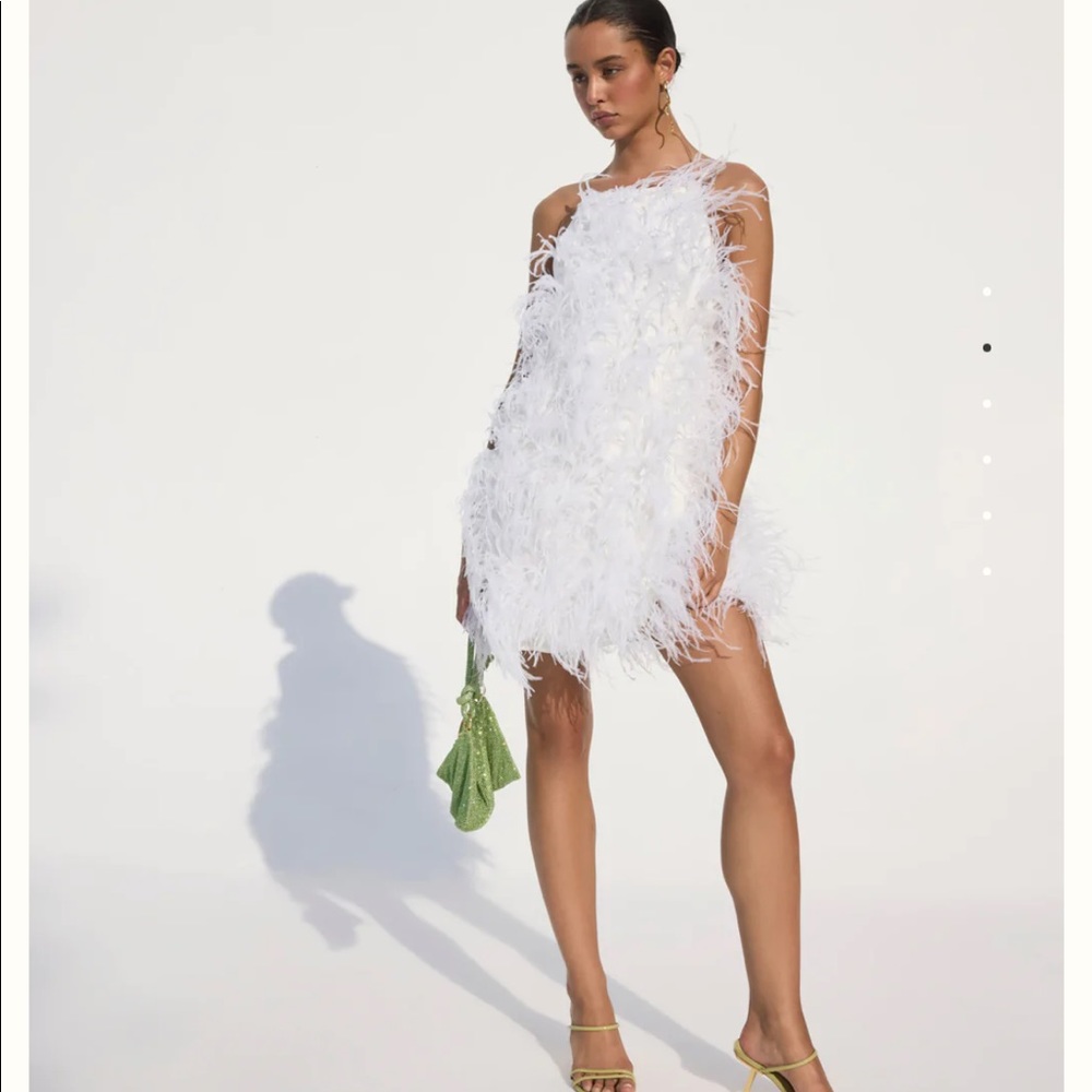 COPY - Cult Gaia Shannon Dress